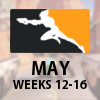 Overwatch Tier Rankings: Overwatch League May (Weeks 12-16)