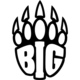 Logo for BIG