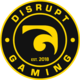 Logo for Disrupt Gaming