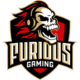 Logo for Furious Gaming