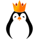 Logo for Team Kinguin