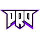 Logo for pro100