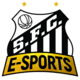 Logo for Santos e-Sports