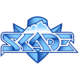 Logo for SKADE