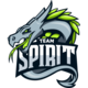 Logo for Team Spirit